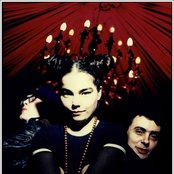 Sugarcubes - List pictures