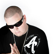 Jelly Roll - List pictures