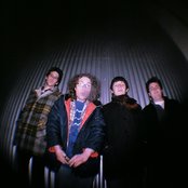 Sunny Pompeii - List pictures