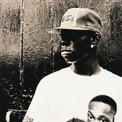 Dizzee Rascal - List pictures