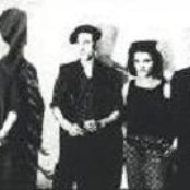 Live Skull - List pictures