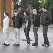 Coma Lilies - List pictures