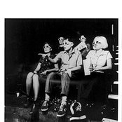 Stereolab - List pictures