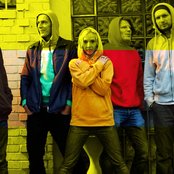 Goldfish - List pictures