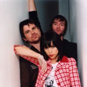 Little Birdy - List pictures