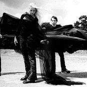 Artrosis - List pictures