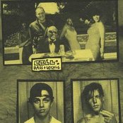 Pinhead Gunpowder - List pictures