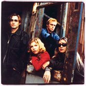 Belly - List pictures