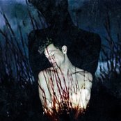 Perfume Genius - List pictures