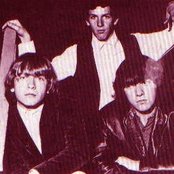 The Haunted - List pictures