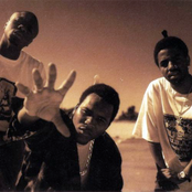 The Dove Shack - List pictures