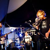 Fond Of Tigers - List pictures