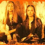 Drain S.t.h. - List pictures