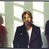 Feeder - List pictures