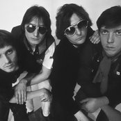 Zoopark - List pictures