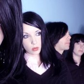 Scarling - List pictures