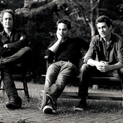 Tonic - List pictures