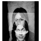Pop Iggy - List pictures