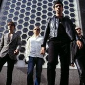 The Servant - List pictures