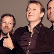 Delillos - List pictures