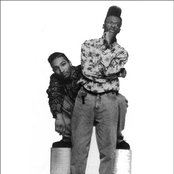 Black Sheep - List pictures