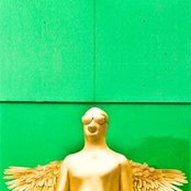 Fly Golden Eagle - List pictures