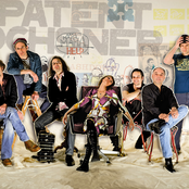 Patent Ochsner - List pictures