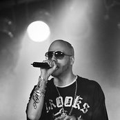 Organismen - List pictures