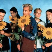 Farmer Boys - List pictures