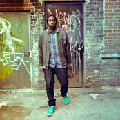 Shad - List pictures