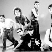 Titas - List pictures