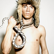 Frankmusik - List pictures