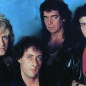 Praying Mantis - List pictures