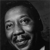 Muddy Waters - List pictures