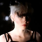 Terri Nunn - List pictures
