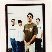 Dogwood - List pictures