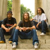 Soldiers Of Jah Army - List pictures