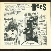 The Bees - List pictures