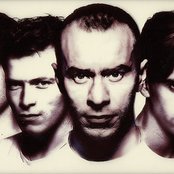 The The - List pictures