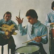 Young Rascals - List pictures