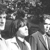 The Servants - List pictures