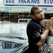 Gorilla Zoe - List pictures