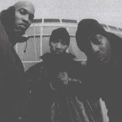 Onyx - List pictures