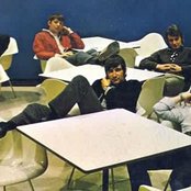 The Animals - List pictures