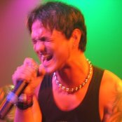 Dry Cell - List pictures