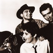 Rainbirds - List pictures