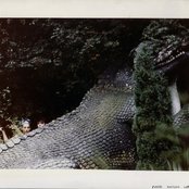 Slits - List pictures