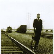 Eels - List pictures