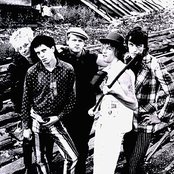 Toten Hosen - List pictures