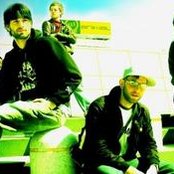 Nailpin - List pictures